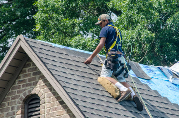 Best Gutter Installation and Roofing  in Benwood, WV